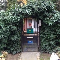 Open Call for Hungarian Multicultural Center resid...