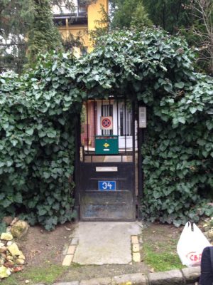 Open Call for Hungarian Multicultural Center residency program