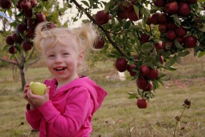 Autumn Harvest Fest