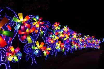 China Lights