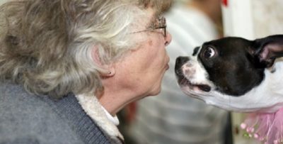 Great Lakes Pet Expo
