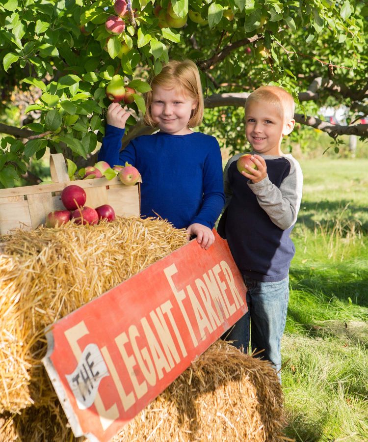 Autumn Harvest Fest