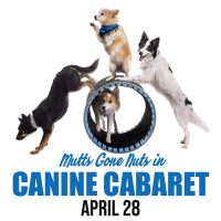 Mutts Gone Nuts in Canine Cabaret