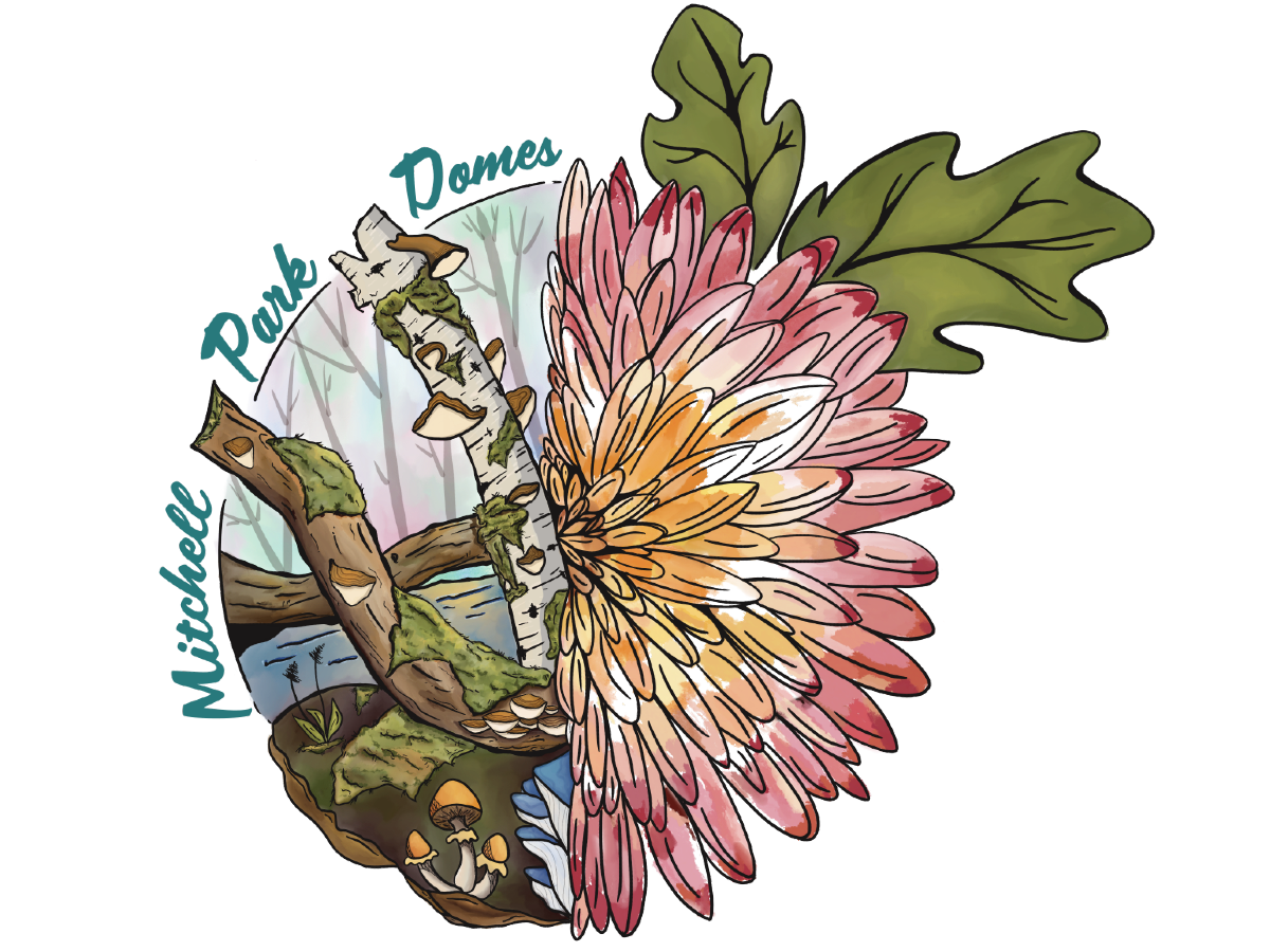 Mums, Mosses & Mushrooms - Fall Show at The Do...