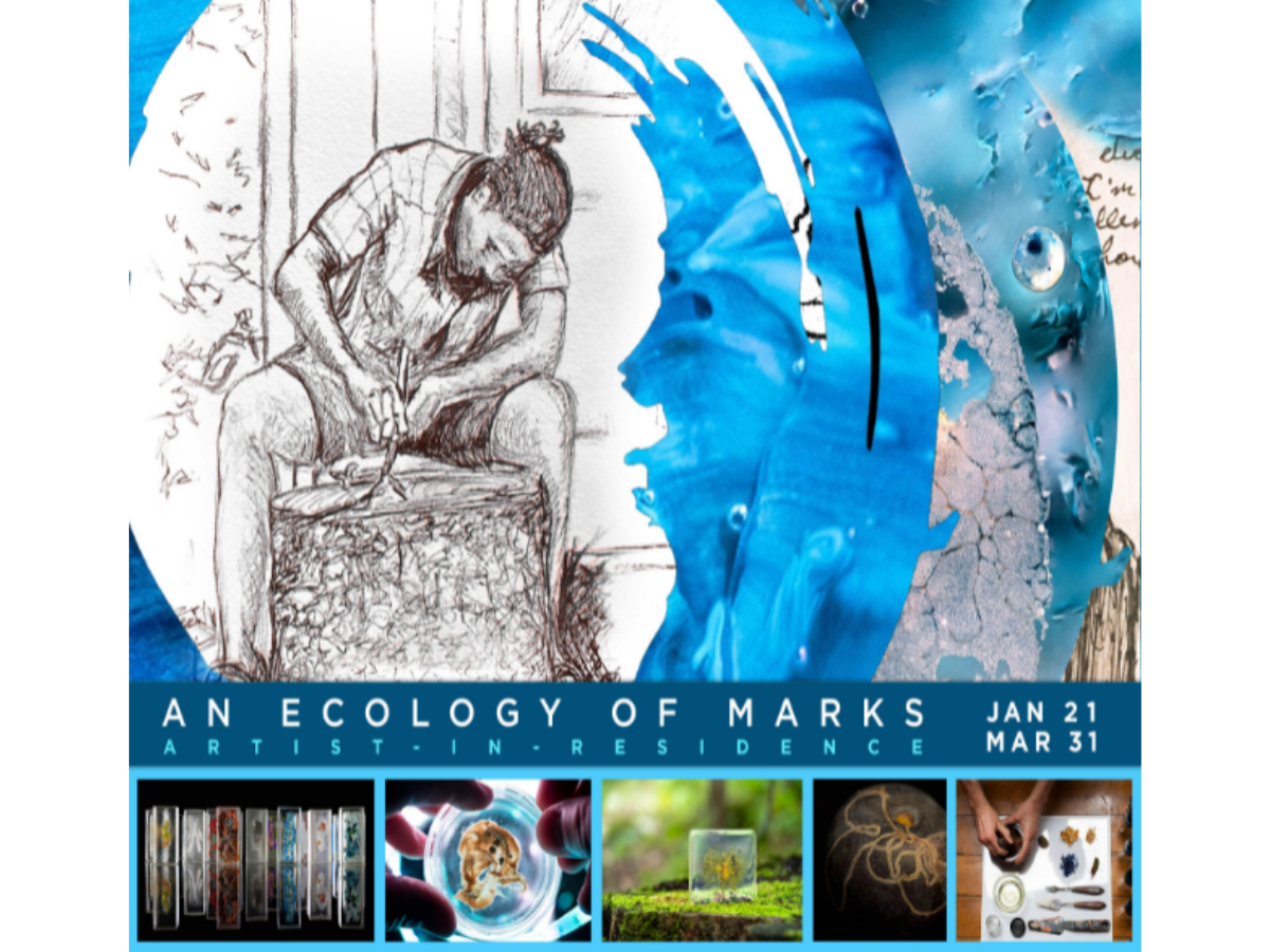 Artist-in-Residence Jeff Zimpel