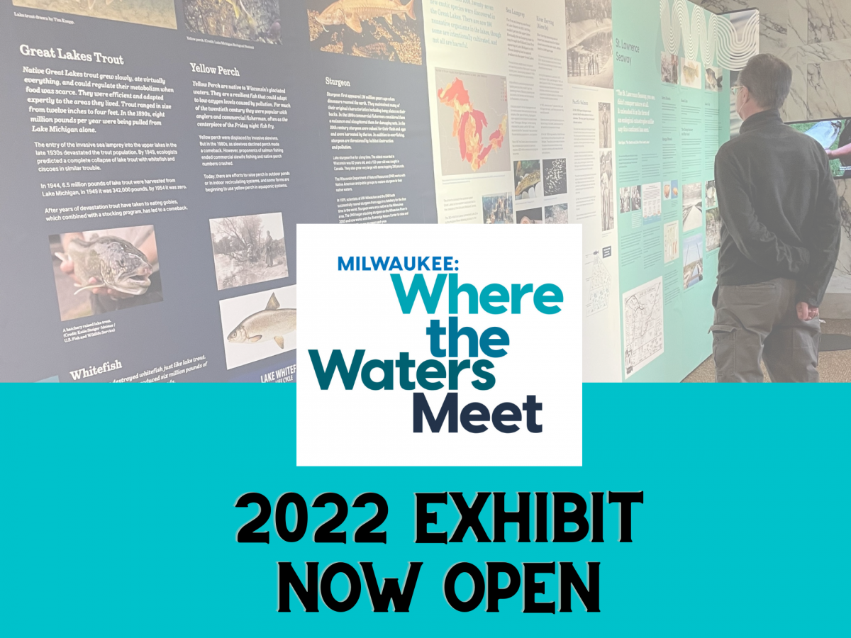 SEE IT BEFORE ITS GONE! Milwaukee: Where the Waters Meet