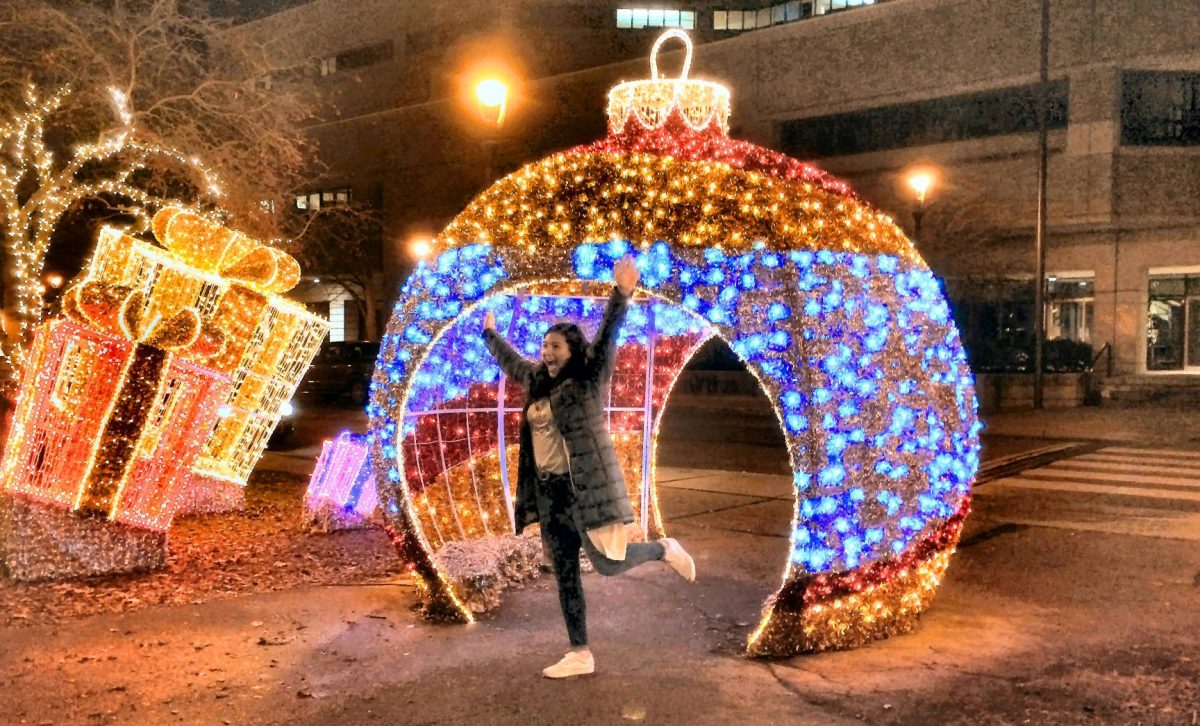 Christmas Past, Present and Future tour-Holiday Lights Tour