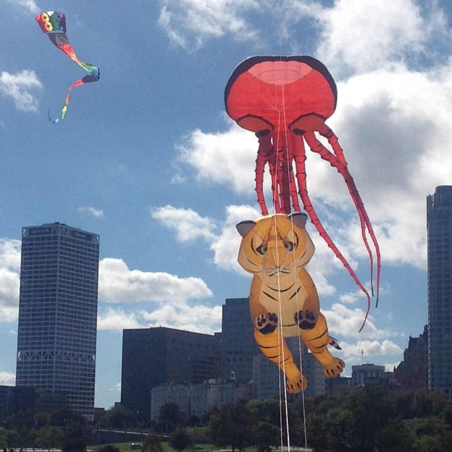 Family Kite Festival 