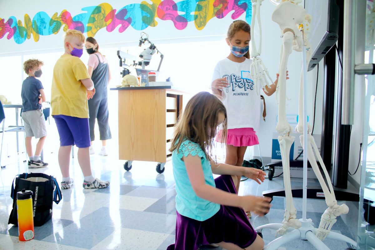 Discovery World Summer Camp: Inside The Human Body